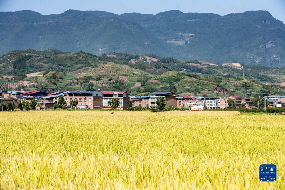 博万通登入